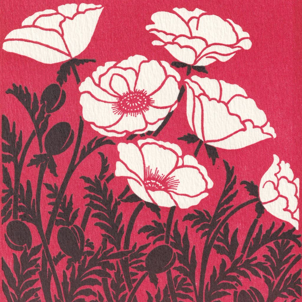 Papaver | Saturn Press