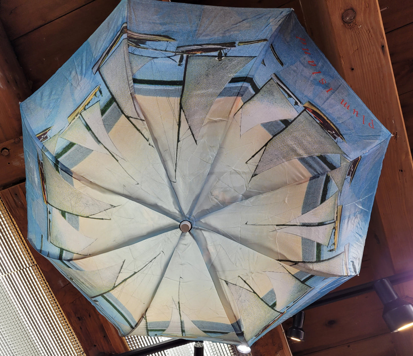 Plum Island Umbrella | Early 1900s Postcard Design