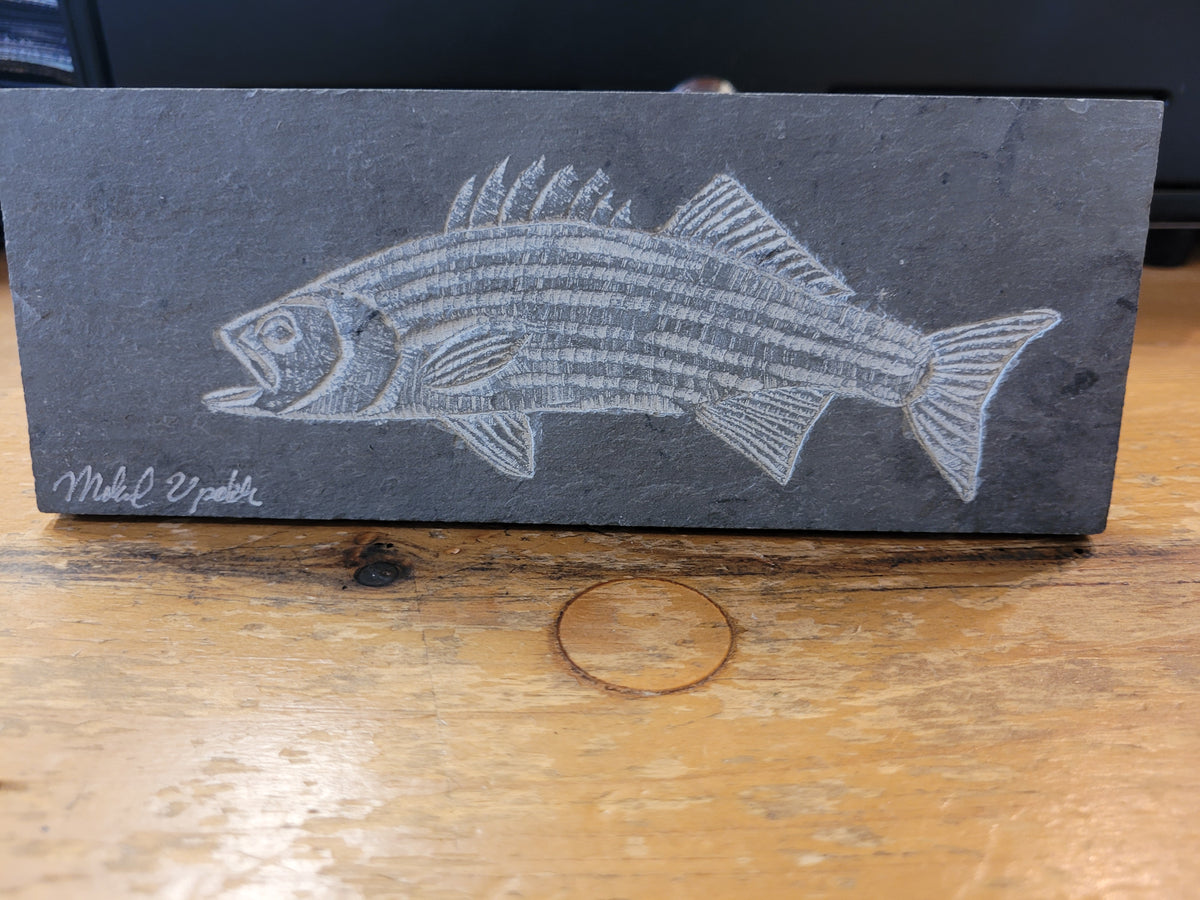 Striper #1 l Carved on Slate | Sm Rectangle | Updike