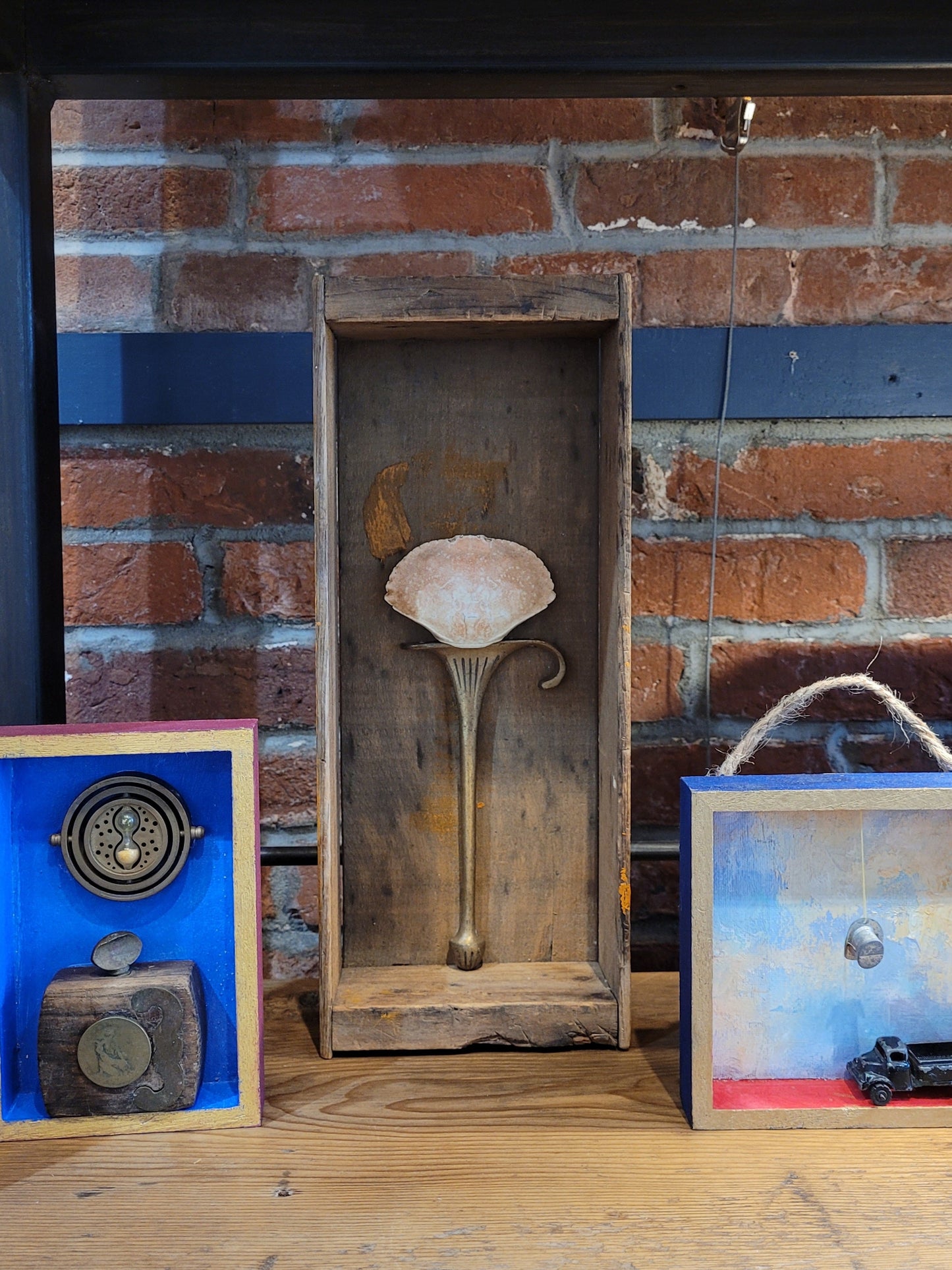Shell on Pedestal | Shadowbox | Chris Volpe / Anna Birch