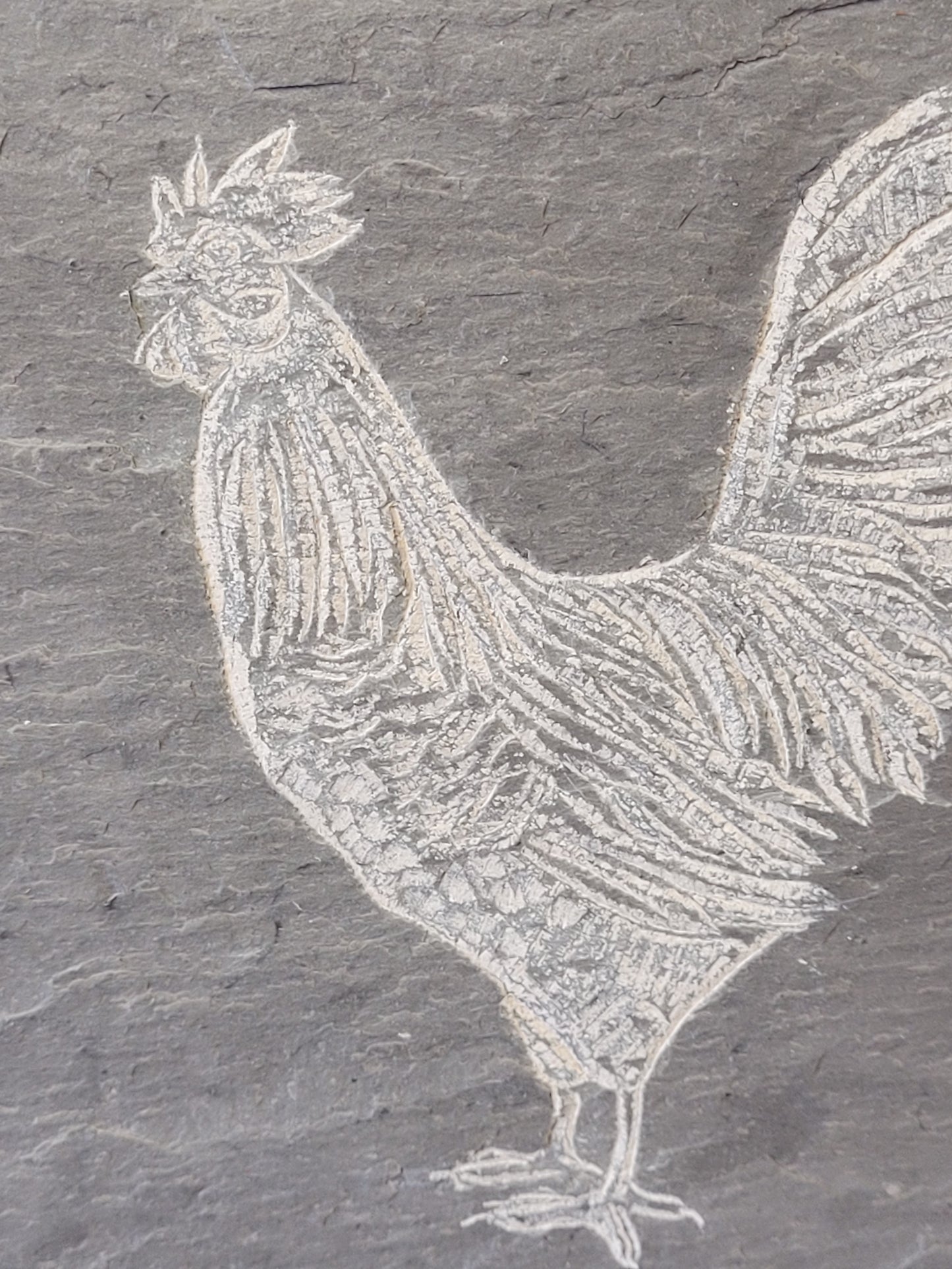 Rooster Carved on Square Slate | Updike