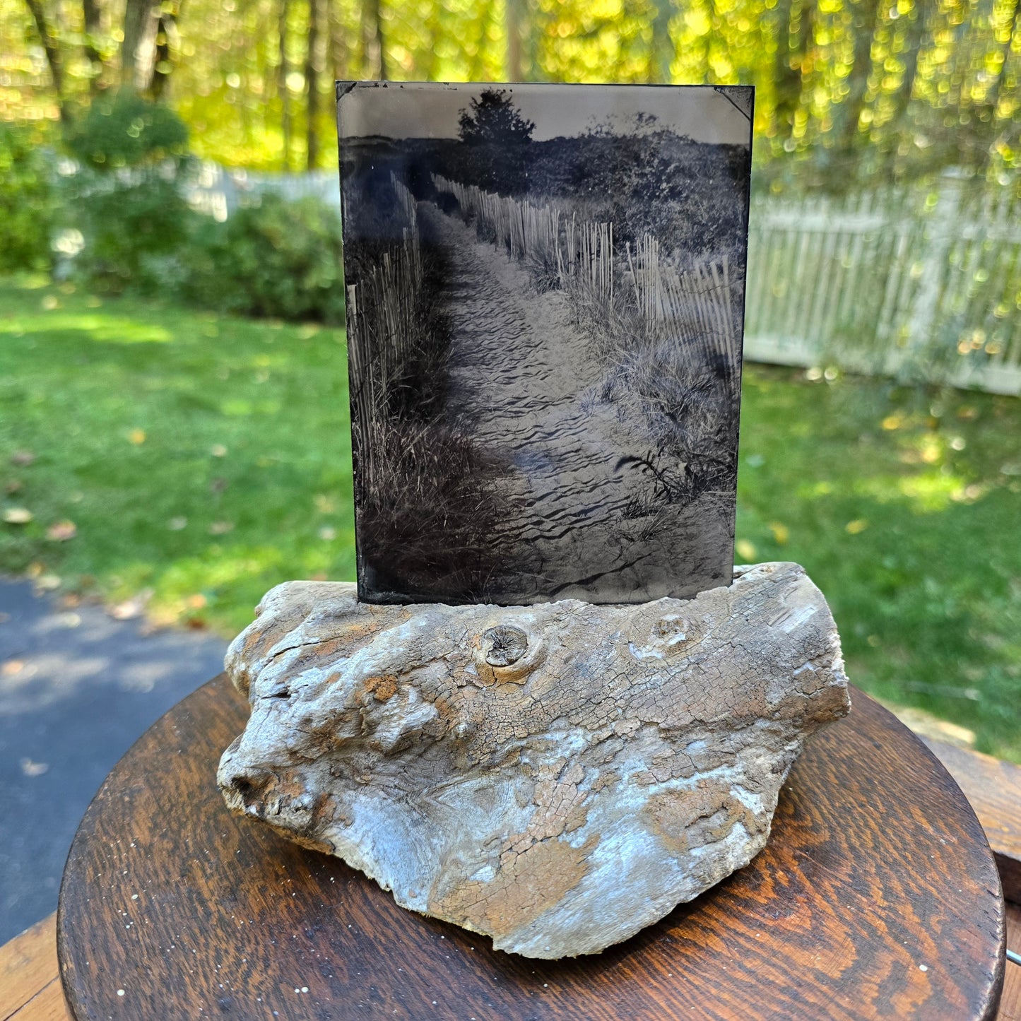 “Plum Island Path No.1"| Original NESB 1/2 Plate Tintype with PI driftwood base
