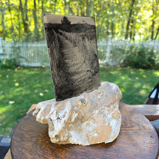“Plum Island Path No.1"| Original NESB 1/2 Plate Tintype with PI driftwood base