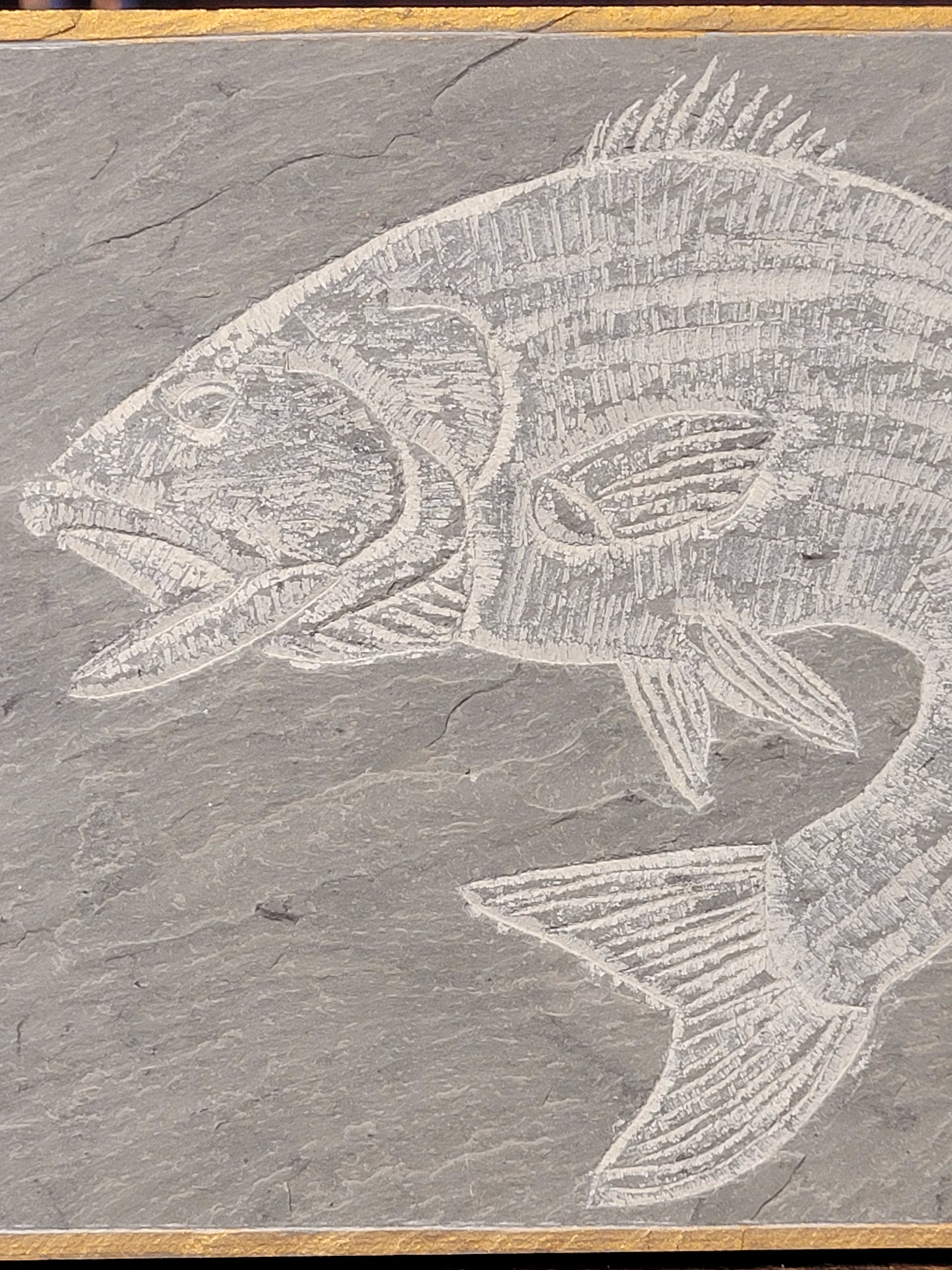 Carved Stiped Bass on Reclaimed Roof Slate | Michael Updike
