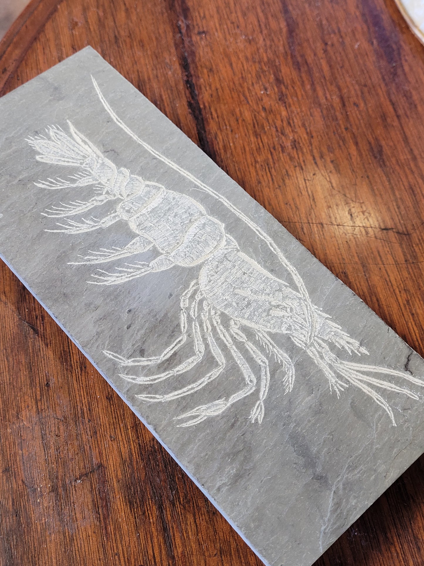 Lobster l Carved on Slate | Sm Rectangle | Updike