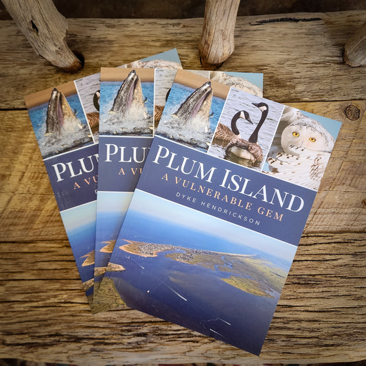 Plum Island: A Vulnerable Gem