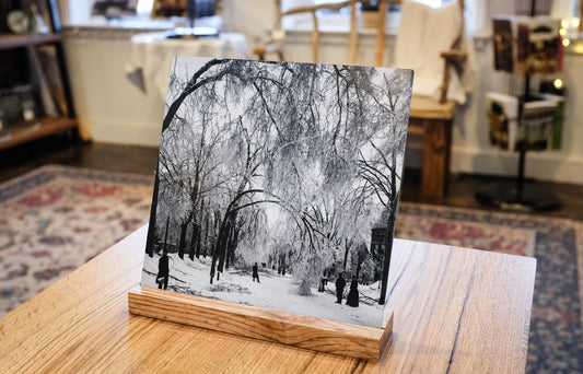 Ice Storm | Late 1800s Metal Print with Historic Wood Stand